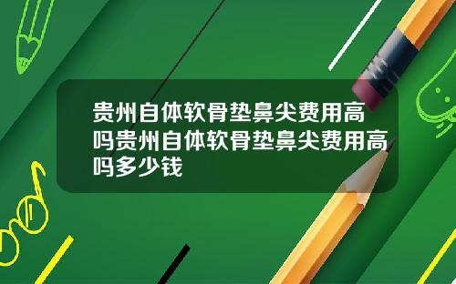 贵州自体软骨垫鼻尖费用高吗贵州自体软骨垫鼻尖费用高吗多少钱