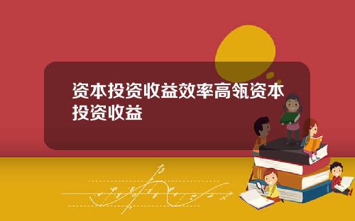 资本投资收益效率高瓴资本投资收益