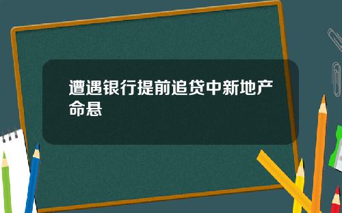 遭遇银行提前追贷中新地产命悬