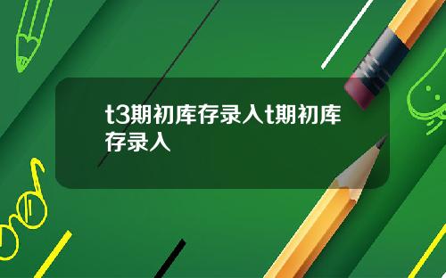 t3期初库存录入t期初库存录入