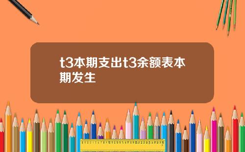 t3本期支出t3余额表本期发生
