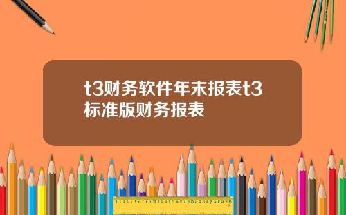 t3财务软件年末报表t3标准版财务报表