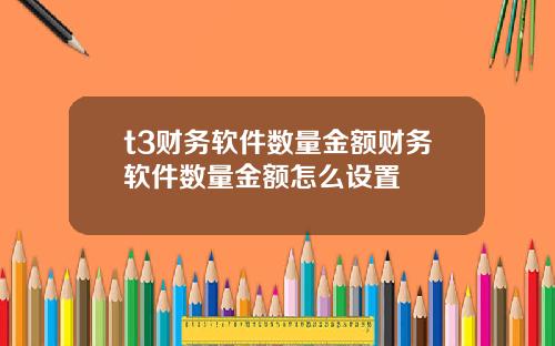 t3财务软件数量金额财务软件数量金额怎么设置