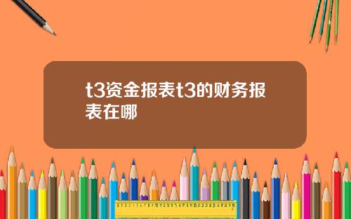 t3资金报表t3的财务报表在哪