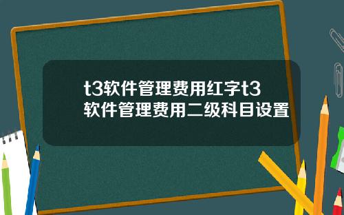 t3软件管理费用红字t3软件管理费用二级科目设置