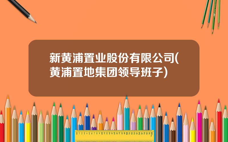 新黄浦置业股份有限公司(黄浦置地集团领导班子)
