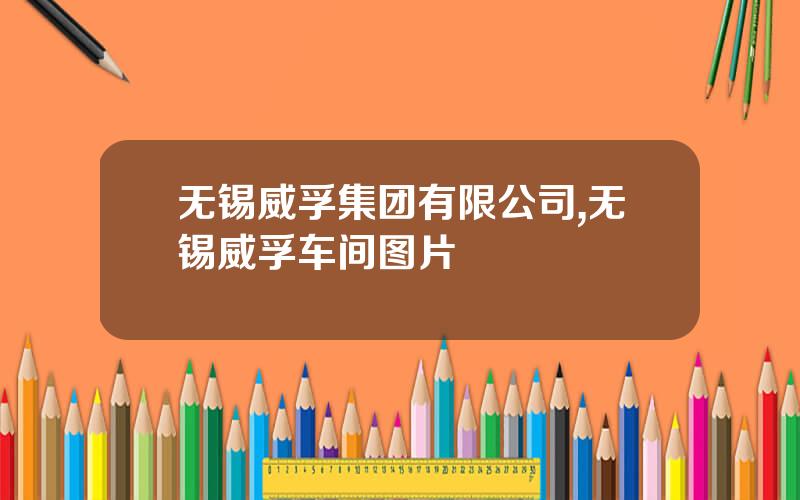 无锡威孚集团有限公司,无锡威孚车间图片