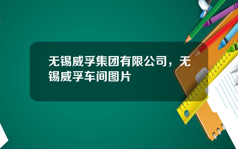 无锡威孚集团有限公司，无锡威孚车间图片