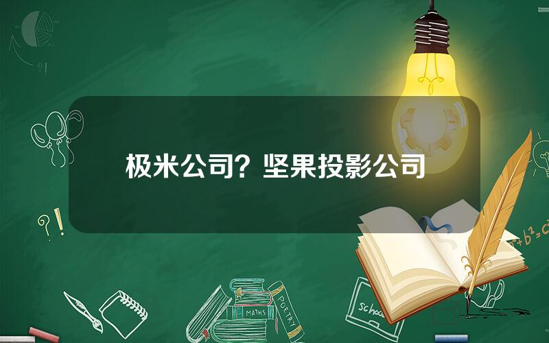 极米公司？坚果投影公司