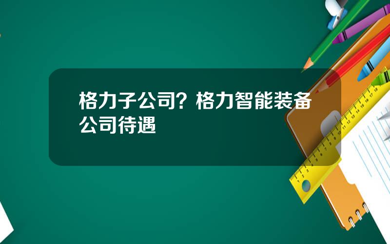 格力子公司？格力智能装备公司待遇