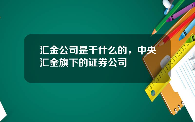 汇金公司是干什么的，中央汇金旗下的证券公司