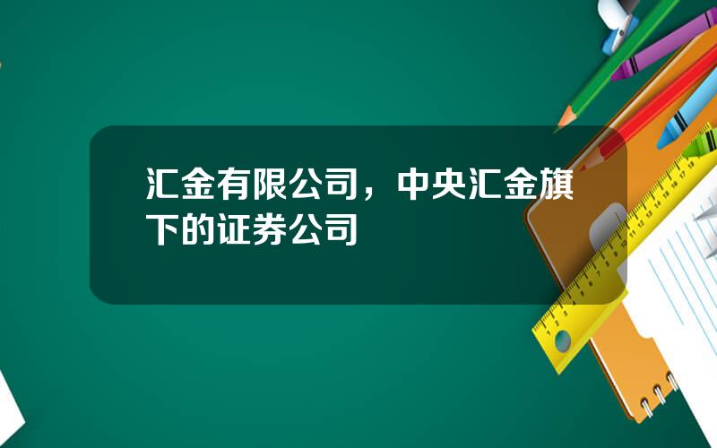 汇金有限公司，中央汇金旗下的证券公司