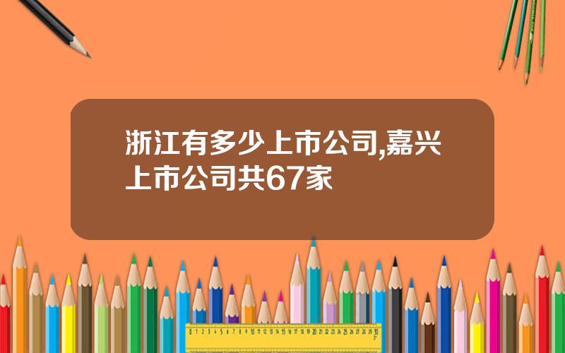 浙江有多少上市公司,嘉兴上市公司共67家