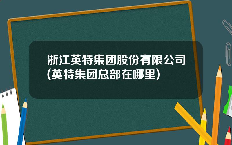浙江英特集团股份有限公司(英特集团总部在哪里)