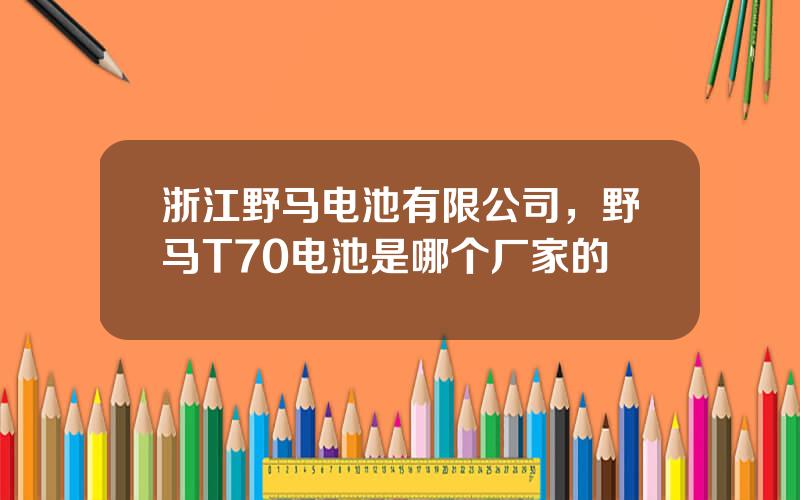 浙江野马电池有限公司，野马T70电池是哪个厂家的