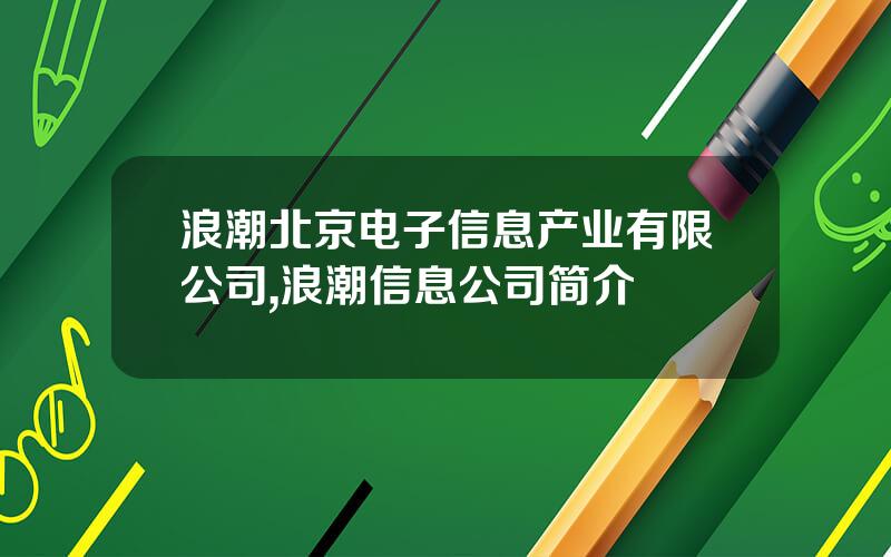 浪潮北京电子信息产业有限公司,浪潮信息公司简介