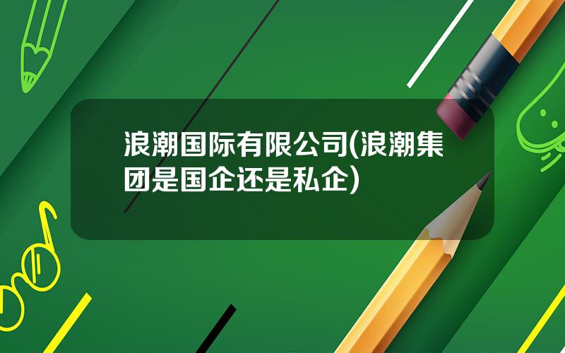 浪潮国际有限公司(浪潮集团是国企还是私企)