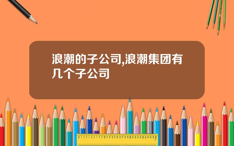 浪潮的子公司,浪潮集团有几个子公司