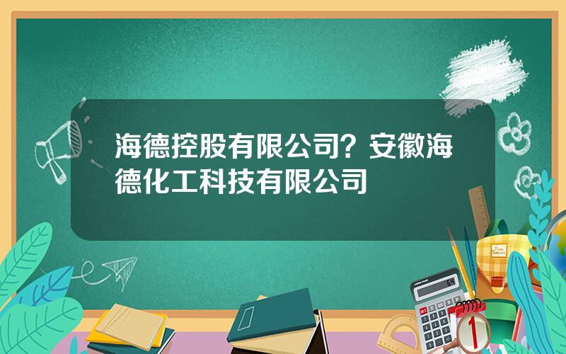 海德控股有限公司？安徽海德化工科技有限公司