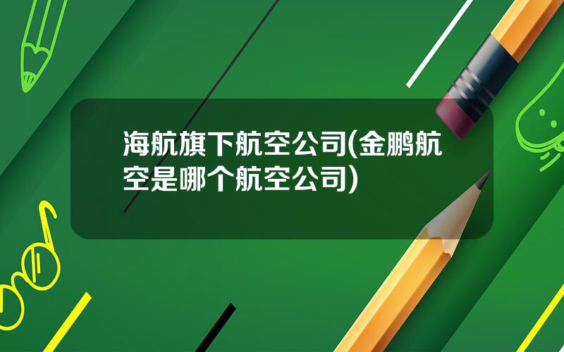 海航旗下航空公司(金鹏航空是哪个航空公司)
