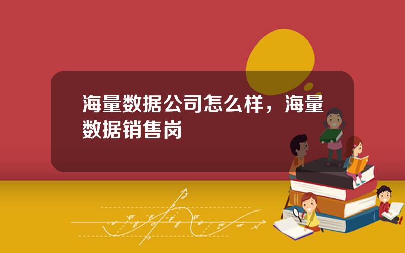 海量数据公司怎么样，海量数据销售岗
