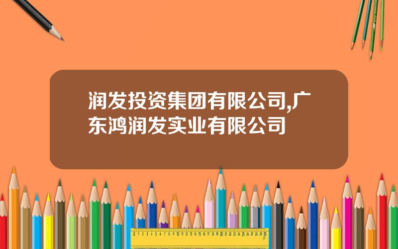 润发投资集团有限公司,广东鸿润发实业有限公司