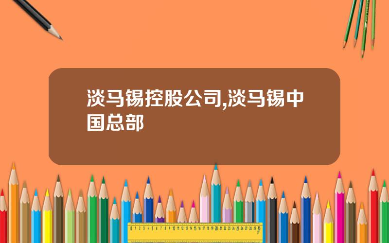 淡马锡控股公司,淡马锡中国总部