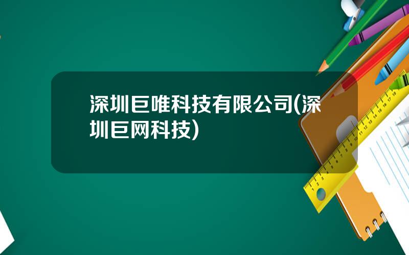深圳巨唯科技有限公司(深圳巨网科技)