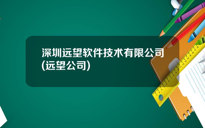 深圳远望软件技术有限公司(远望公司)
