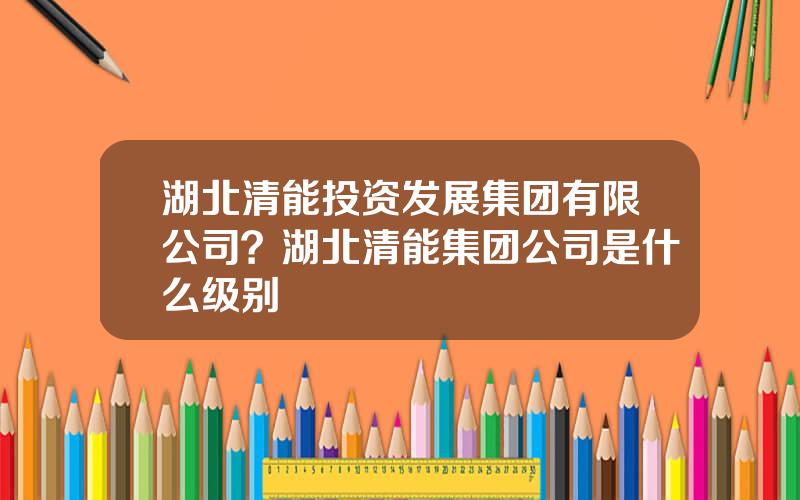 湖北清能投资发展集团有限公司？湖北清能集团公司是什么级别