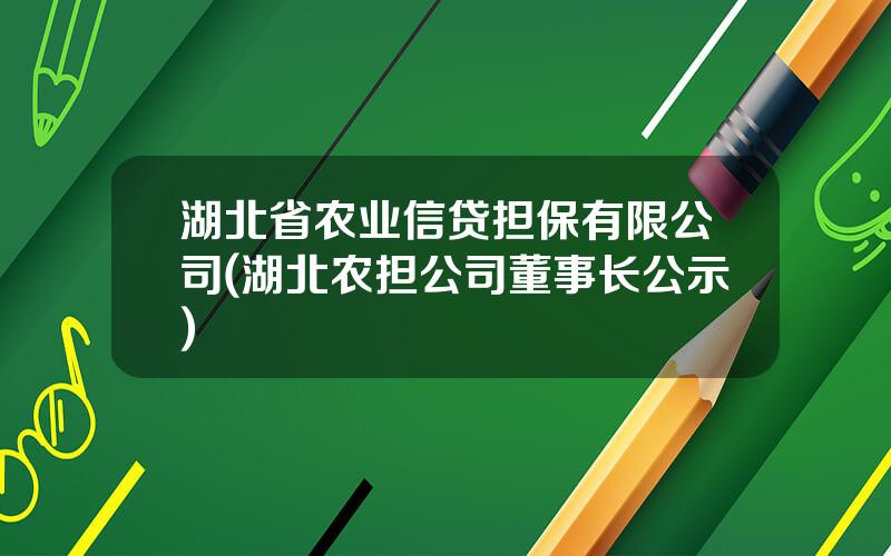 湖北省农业信贷担保有限公司(湖北农担公司董事长公示)