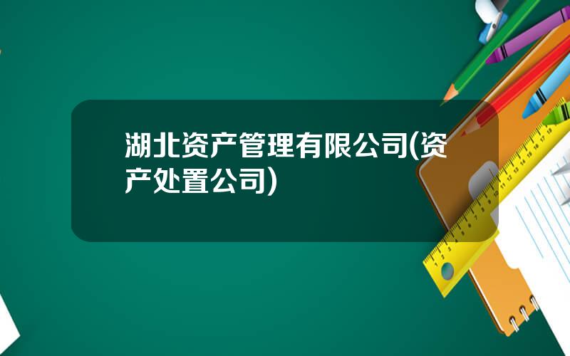 湖北资产管理有限公司(资产处置公司)