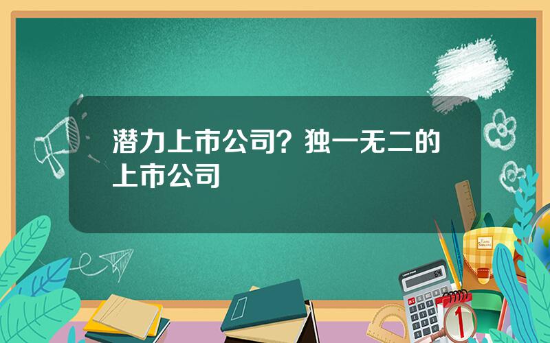 潜力上市公司？独一无二的上市公司