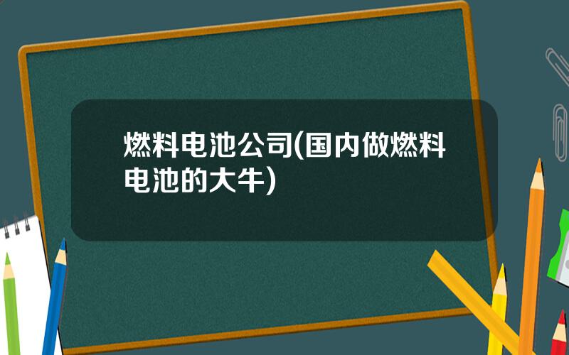 燃料电池公司(国内做燃料电池的大牛)