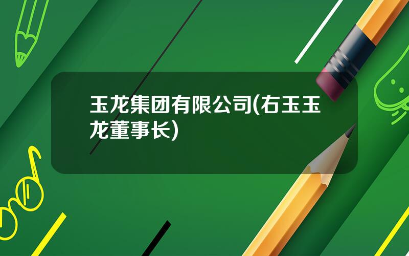 玉龙集团有限公司(右玉玉龙董事长)