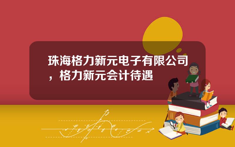 珠海格力新元电子有限公司，格力新元会计待遇