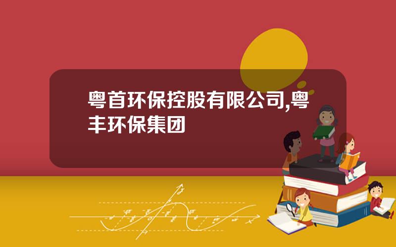 粤首环保控股有限公司,粤丰环保集团
