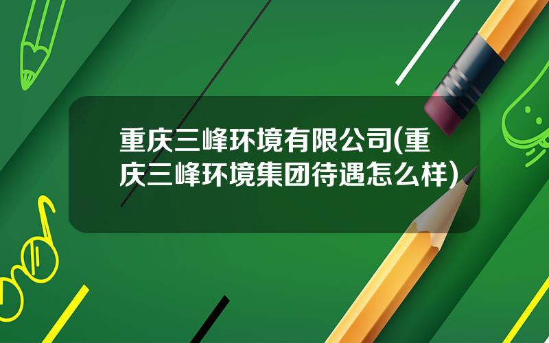 重庆三峰环境有限公司(重庆三峰环境集团待遇怎么样)