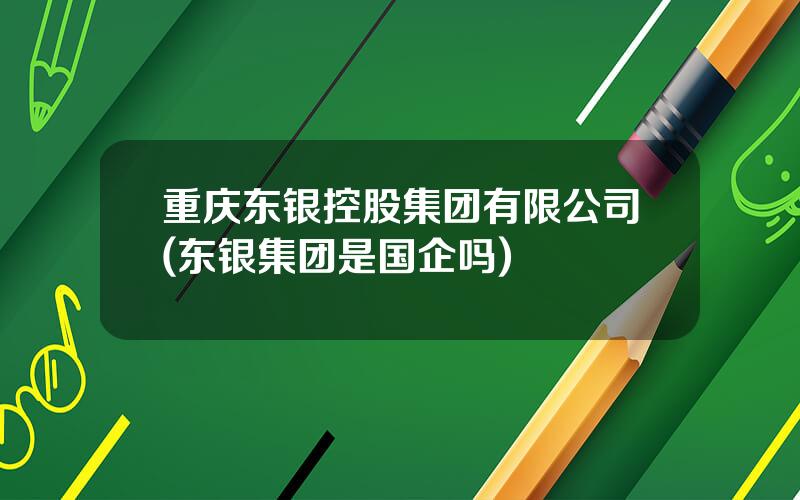 重庆东银控股集团有限公司(东银集团是国企吗)