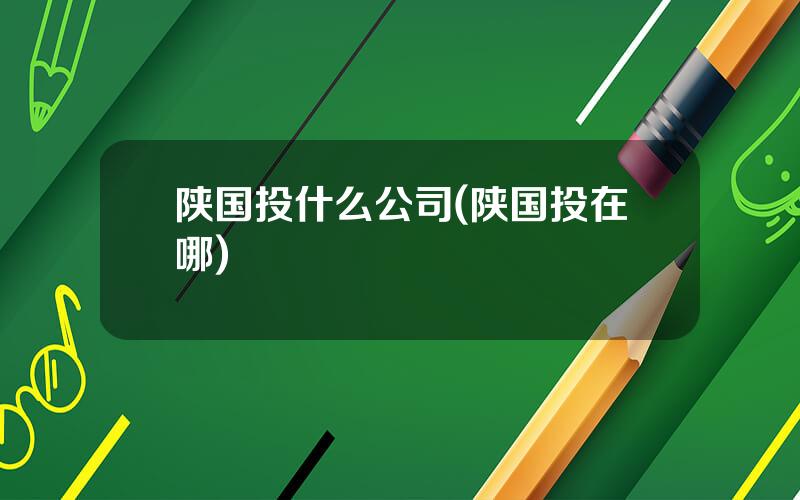 陕国投什么公司(陕国投在哪)